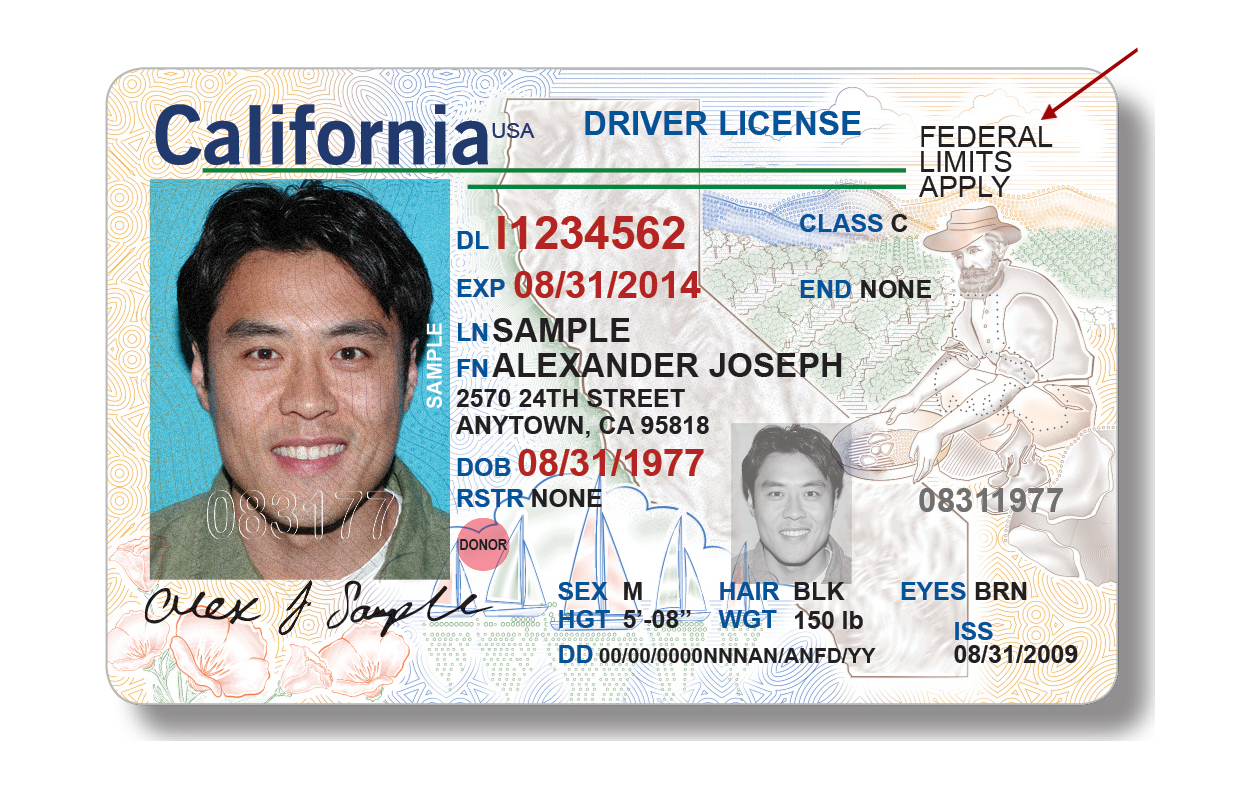 california drivers license 2019